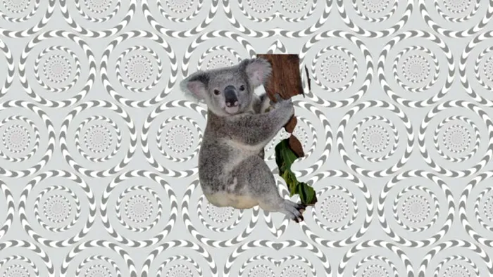 Poti vedea animalul ascuns in imagine in mai putin de 8 secunde inseamna ca ai ochi de vultur 1