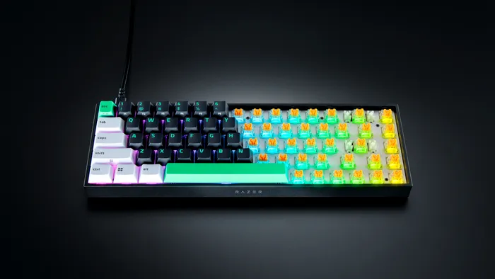 Razer Reclusa X Mini