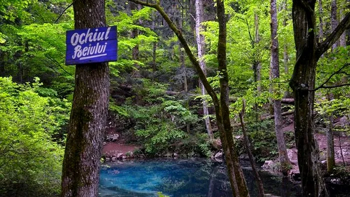 Un lac din România poate vindeca depresia. Ce proprietăți deosebite are lacul din Caraș-Severin