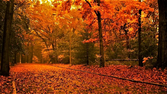 Vremea în weekend. Care este starea meteo și ce anunță ANM pentru ultima zi de vară și prima zi de toamnă