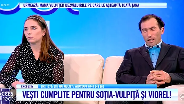 Viorel stegaru are gânduri mari în izolare