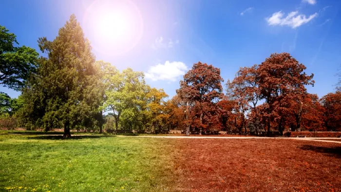 Vin furtuni în toată țara