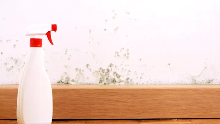 Ce se întâmplă dacă stropeşti pereţii cu bicarbonat şi oţet de mere