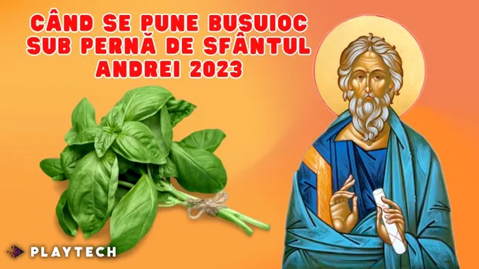 Când se pune busuioc sub pernă de Sfântul Andrei 2023. De unde vine obiceiul