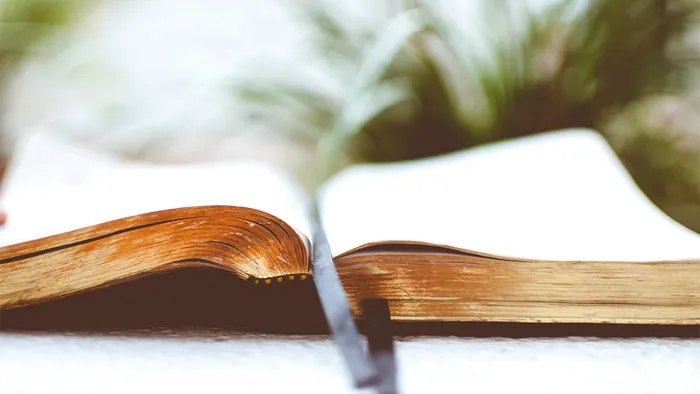 Numele din Biblie care apare cel mai des, pe lângă Dumnezeu și Iisus