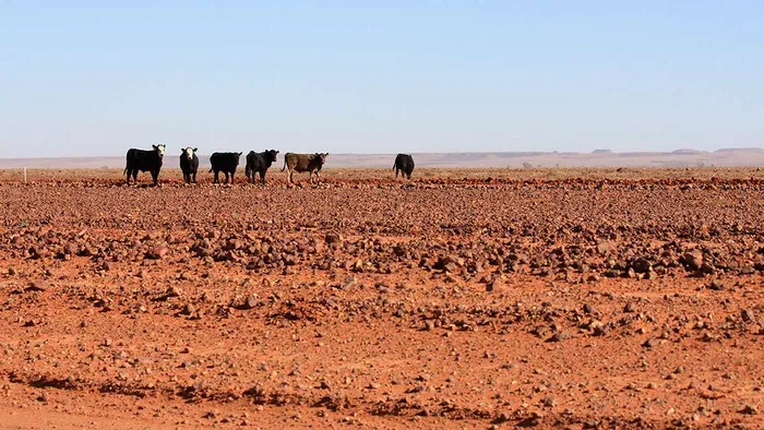 Țara care va avea secete care vor dura zeci de ani. Ce arată ultimul studiu