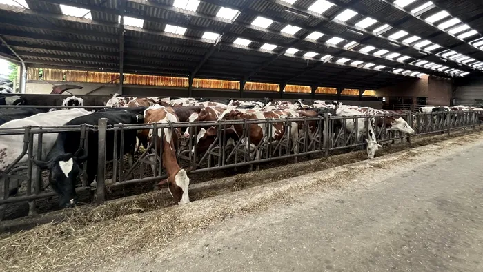 Afacerea cu care o familie a dat lovitura. Produce anual peste jumătate de milion de euro, fără niciun angajat