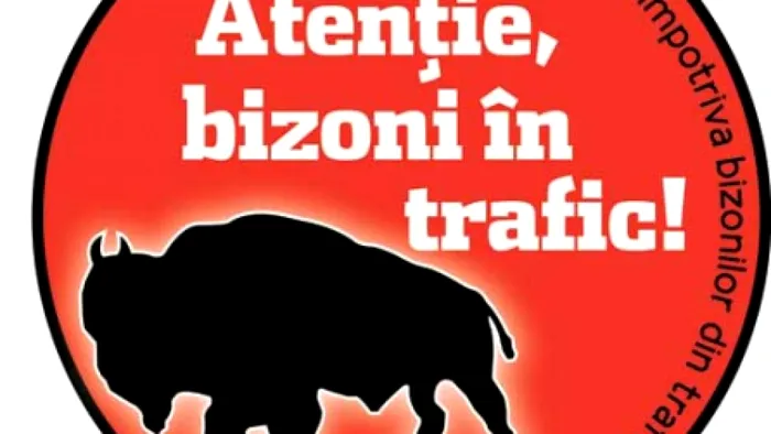 Imaginile momentului pe internet! Un șofer de pe litoral și-a „parcat” mașina direct pe malul mării: „Dă-i, tată, dă-i!”