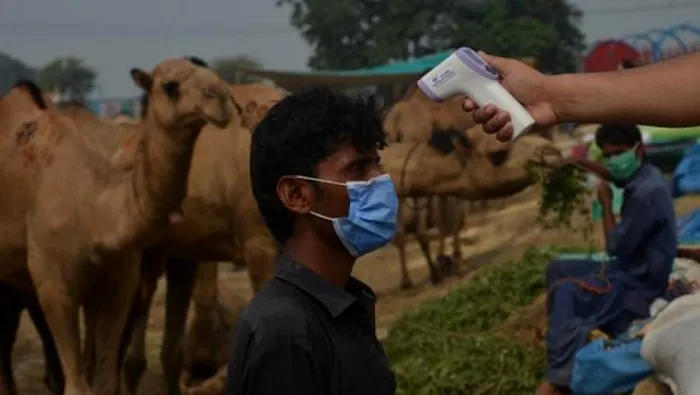 Victimele dezinformării despre COVID-19. Au murit după ce au băut urină de vacă și cămilă