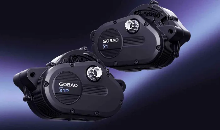 Motor electric Gobao