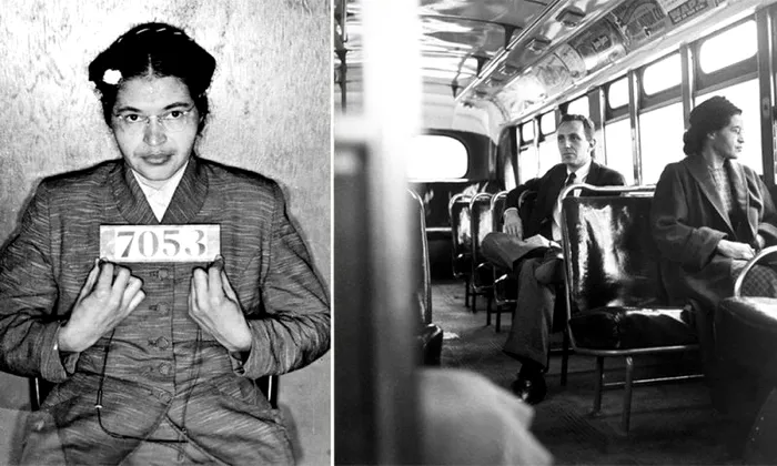 Rosa Parks drepturile omului