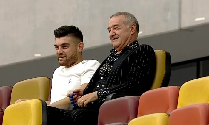 Ce probleme există în familia Becali