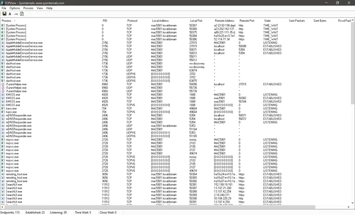 conexiuni windows tcpview