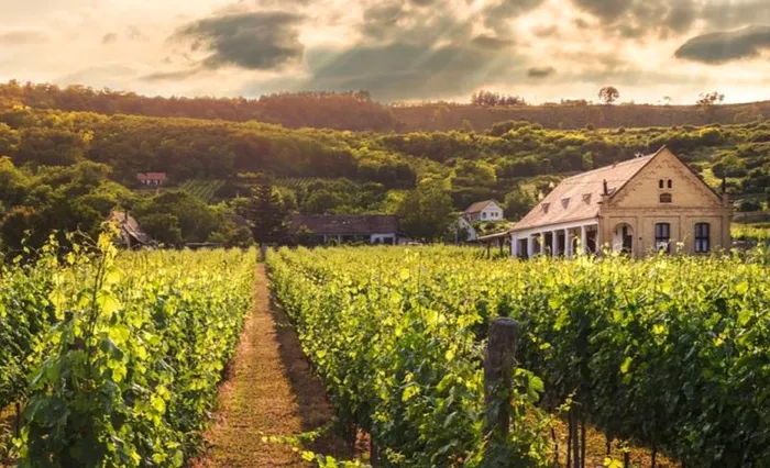 California Wine Country, SUA