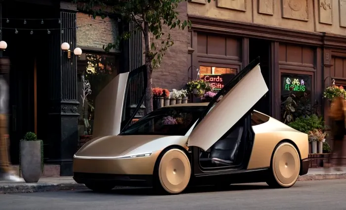 Tesla Robotaxi