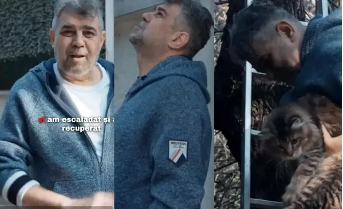 Marcel Ciolacu si-a salvat pisica din copac
