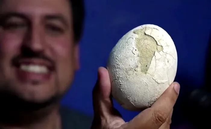 Ou dinozaur Argentina 70 milioane de ani