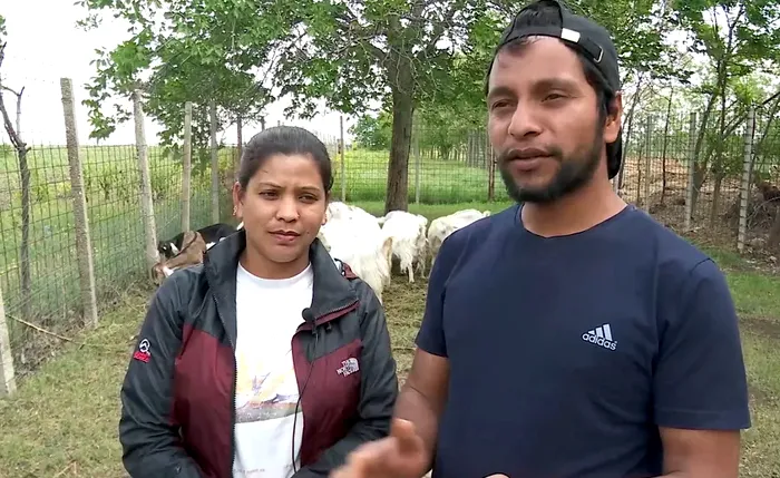 Cât câștigă un muncitor nepalez în România în 2024? Au venituri de trei ori mai mari decât în țara lor, plus bonusuri și alte beneficii