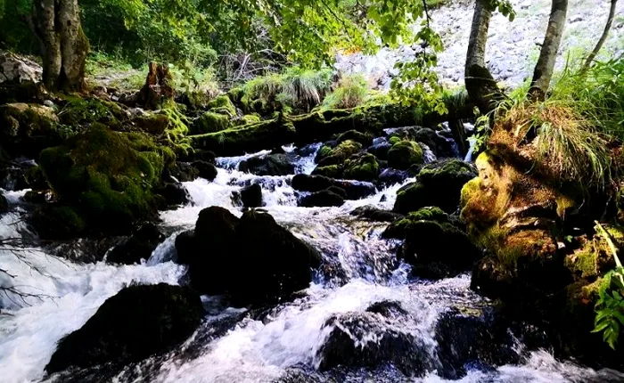 Izvoare Baile Herculane