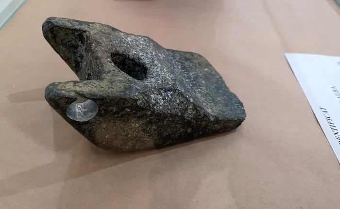 Talpa robotica de la aiud