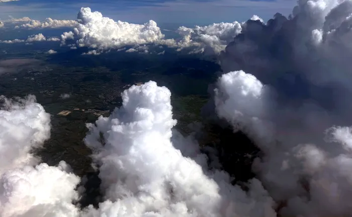 Nori artificiali experiment 2