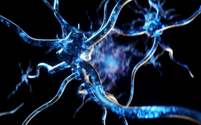 informatii sistem nervos