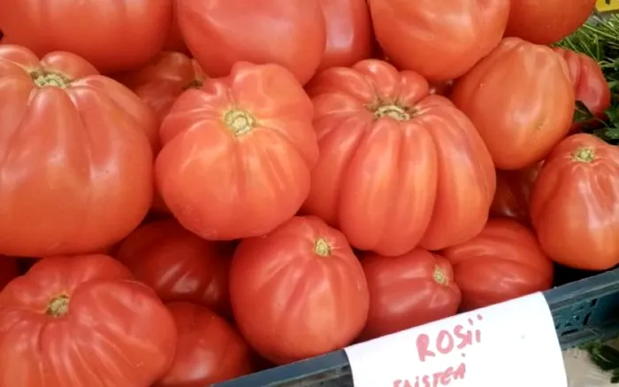 „În perioada stării de urgență a existat o formă de sprijin pentru familiile cu copil. Pe perioada în care au fosts suspendate cursurile școlare, un părinte, la alegere, a avut posibilitatea să stea acasă, într-un fel de concediu, plătindu-i-se 75% din salariul său.  Și pentru începerea școlii vom lua o măsură similară. Însă va fi flexibilă, pentru că situația epidemiologică fiind diferită de la localitate la alta, nu va mai fi o măsură generală. Va fi o măsură locală.  Dacă într-o școală avem cazuri și se închide 14 zile, toți părinții elevilor din școala respectivă vor primi pe perioada suspendării cursurilor, să zicem 14 zile, un părinte, aceeași formă de sprijin de 75%”, a declarat Ludovic Orban.