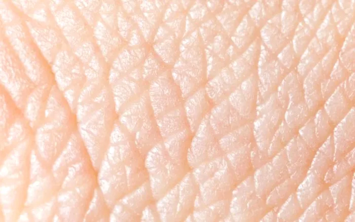 Piele umana se schimba lunal