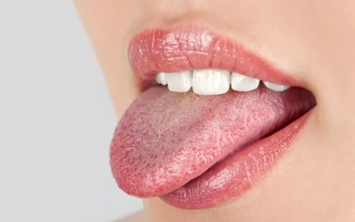 papile gustative limba