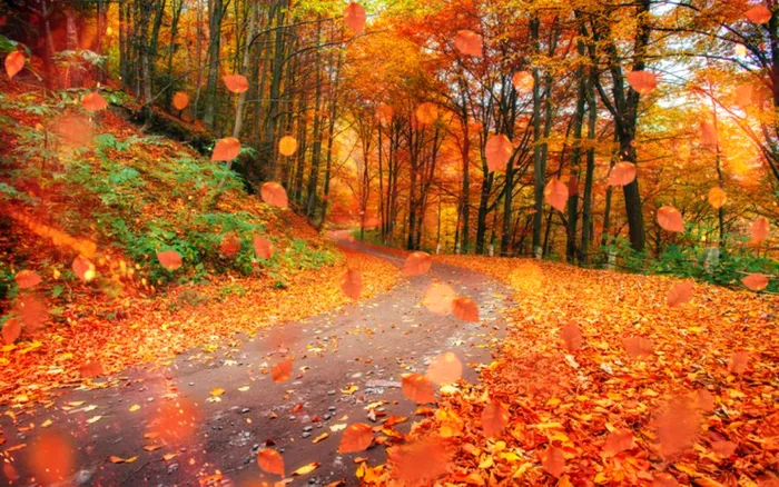 Meteo octombrie 2020. Temperaturi de vară în a doua lună de toamnă! Când vine frigul, de fapt