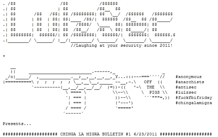 Un hacker, membru LulzSec, si-a recunoscut vinovatia intr-un proces