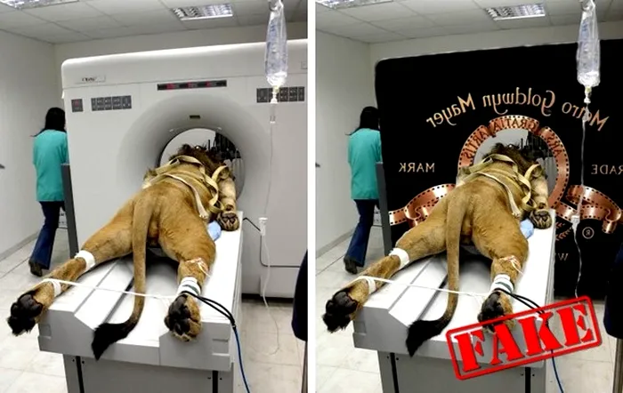 fotografii faimoase false 5