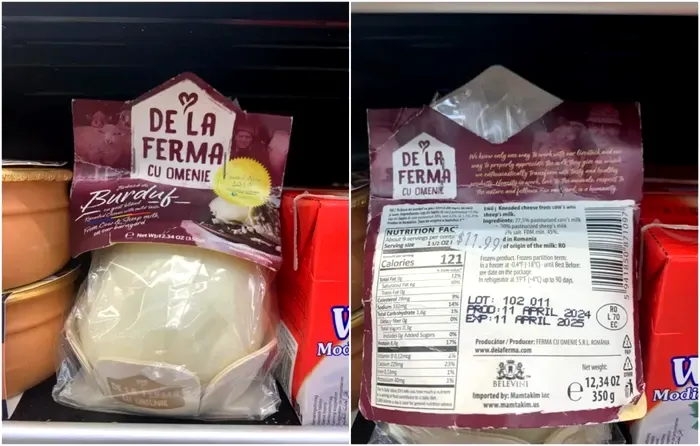 Branza de burduf America