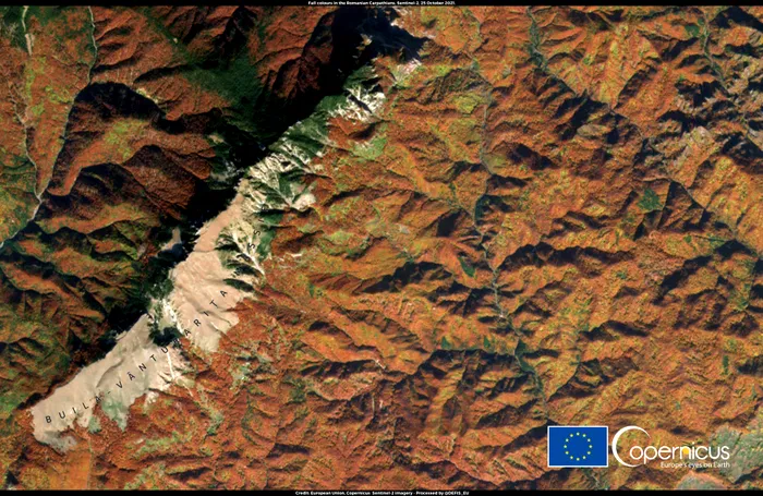 paduri romania copernicus
