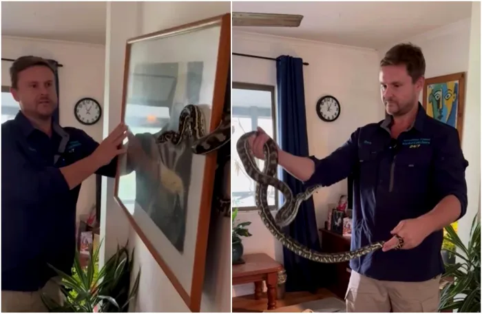 Descoperire incredibila in spatele unui tablou. Ce ascundea lucrarea de arta. Foto