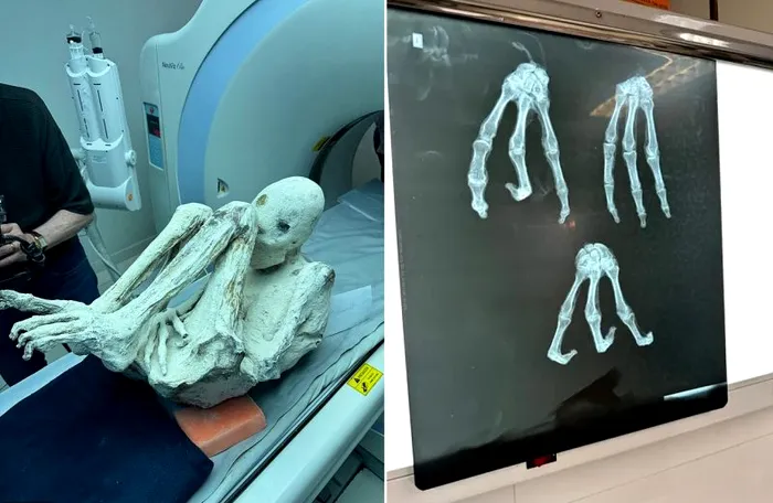 Luna trecută, în aprilie, în Peru, în cadrul unui al doilea eveniment organizat de ufologul Jaime Maussan, a fost prezentat un nou specimen 'extraterestru' numit Montserrat. Această descoperire a continuat să atragă atenția publicului și a comunității științifice, alimentând dezbaterile și controversele cu privire la originea și natura acestor corpuri misterioase.