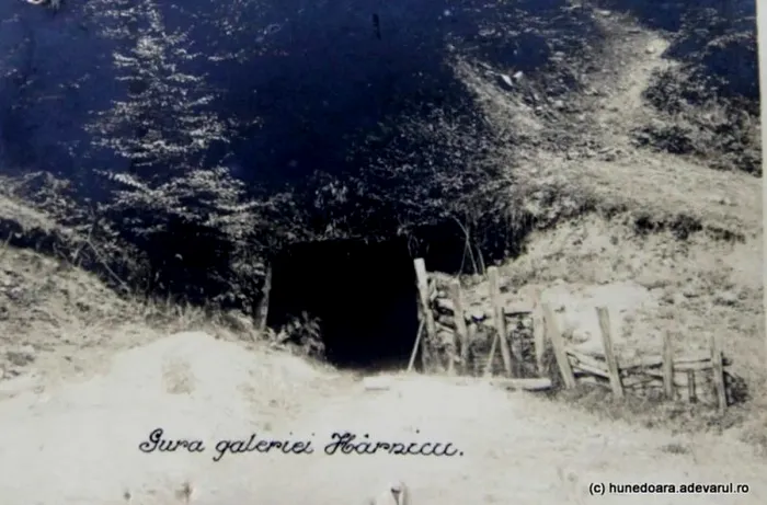 Mina de aur din zona Bradului, unde hoții intrau pe ascuns. Foto Arhivele Naționale