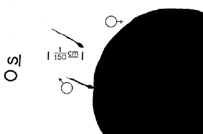 Conception
