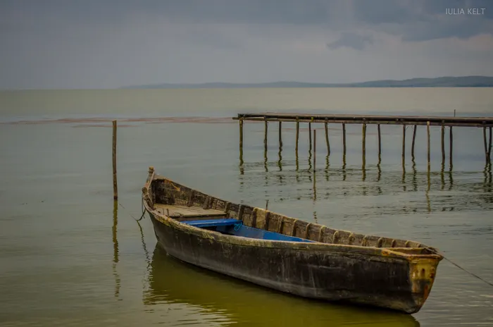 rezervatie-bujori-dobrogea-muntii-macinului-foto-iulia-kelt