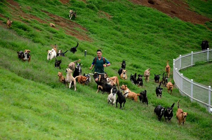 Territorio de Zaguates 