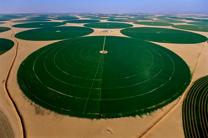 Ce sunt cercurile verzi, misterioase, din deșertul Egiptului, de fapt. Când oamenii se comportă ca extratereștrii
