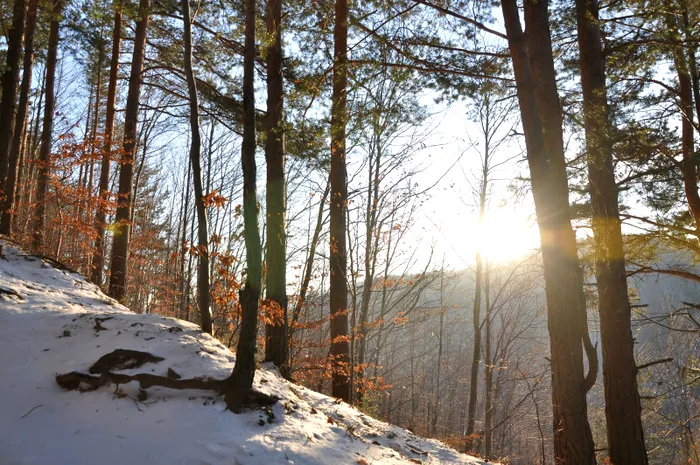 Temperaturile vor fi ușor mai crescute în Decembrie decât cele normale pentru această perioadă