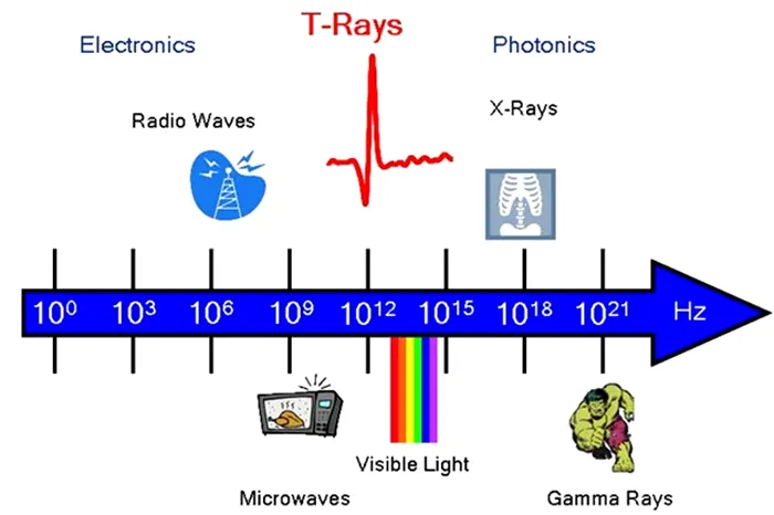 t-rays