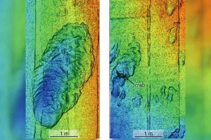”Marele Canion” din Pacific, scanat cu tehnologie performantă: ce surprize au avut cercetătorii
