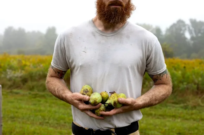 Fructul Pawpaw poate inlocui merele si piersicile