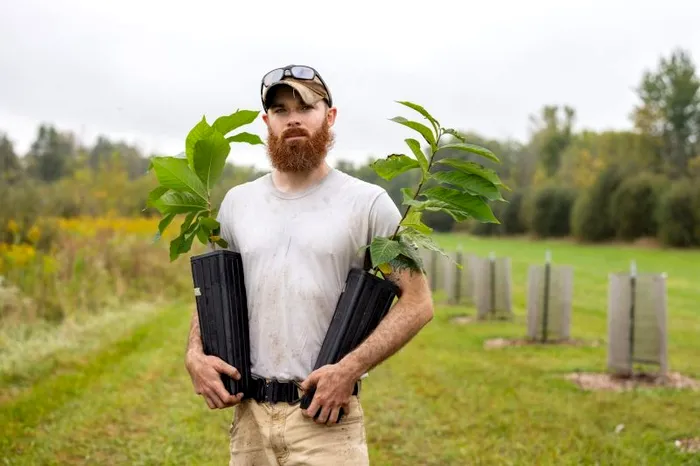 Townsend ține în mână puieți de pawpaw înainte de a-i planta la ferma Swiftwater. 