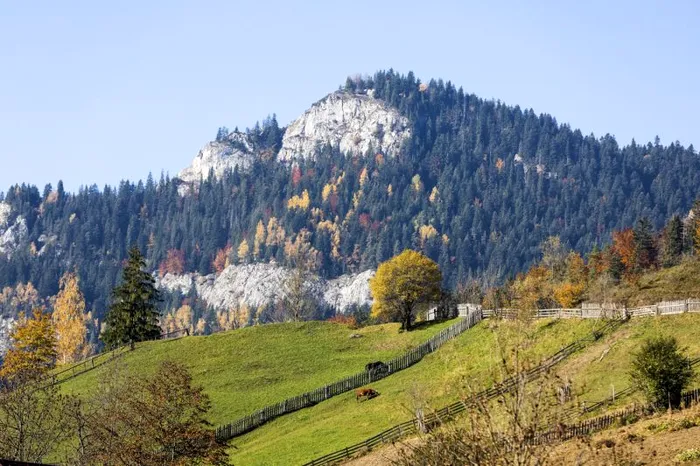 Zona Cheilor Bicazului, spectaculoasă toamna (Foto: Profimedia)