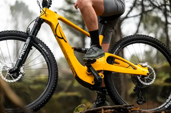 Bicicleta electrică de munte nu este doar un truc de marketing
