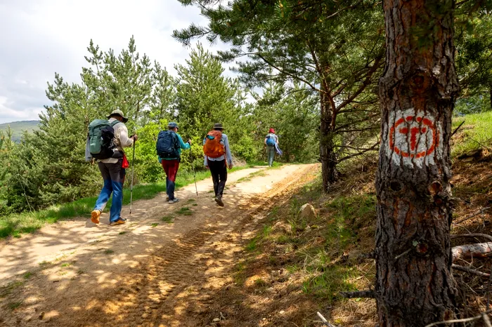 MedLife & Via Transilvanica 3