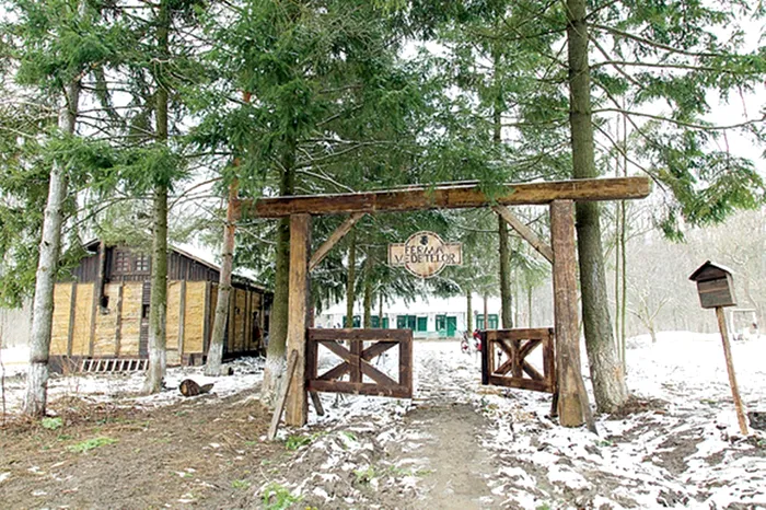 Pădurea de la Cocani, locul în care se filmează emisiunea "Fermă"